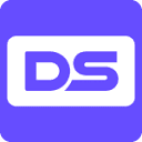 Digital Surge logo